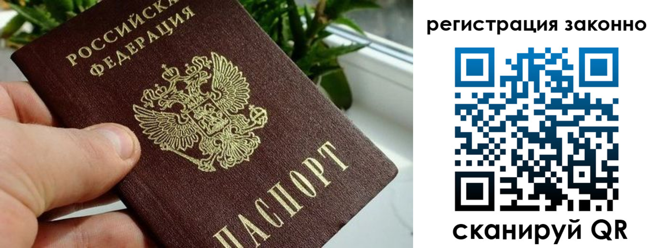 прописка гарантия в Кунгуре